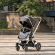 Illustration for article titled I Pity the Poor Parents Who Can't Afford the 'Mercedes of Baby Carriages'